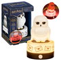 PALADONE Lámpara Protector de Habitación Hedwig Harry Potter con Sensor de Movimiento, Sonidos Oficiales y Función de Luz Nocturna, USB/Pilas