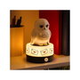 PALADONE Lámpara Protector de Habitación Hedwig Harry Potter con Sensor de Movimiento, Sonidos Oficiales y Función de Luz Nocturna, USB/Pilas