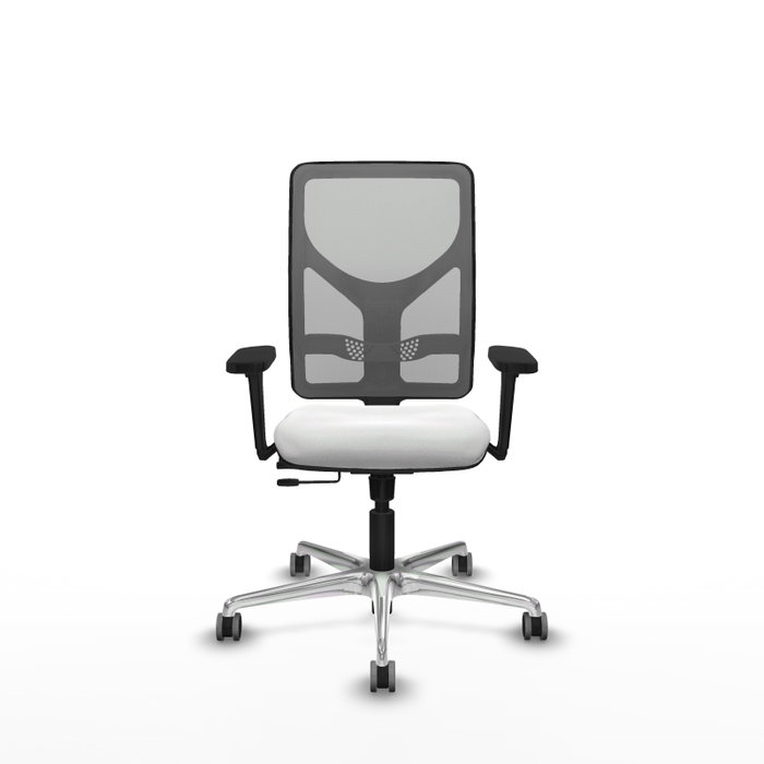 PIQUERAS Y CRESPO Silla de oficina Motilla con mecanismo Sincro/Traslack, Blanco y Gris PIQUERAS Y CRESPO Silla de oficina Motilla con mecanismo Sincro/Traslack, Blanco y Gris