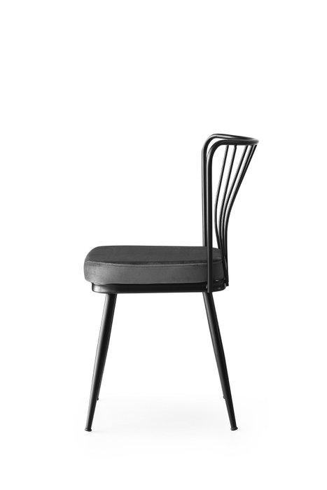 Hanah Home 942 V2 Juego de Sillas de Terciopelo Negro con Estructura de Metal, Diseño Bohemio/Hotel, Set de 2 Piezas