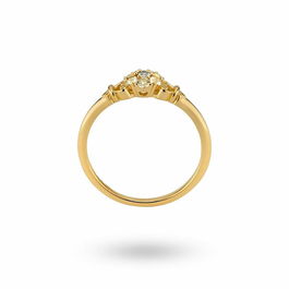 Anillo Mujer 24KAE 12445Y/54 Dorado 14