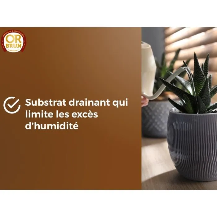 Or Brun OBRTCAC6U Sustrato para cactus y plantas suculentas Brown Gold 6L Promueve el crecimiento