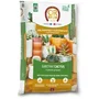 Or Brun OBRTCAC6U Sustrato para cactus y plantas suculentas Brown Gold 6L Promueve el crecimiento