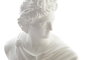 DKD Home Decor Figura de Apolo Blanco en Resina
