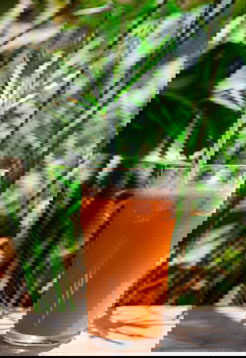 Algon Pajitas Plástico Reutilizables 30uds 19.5 cm x 6 mm Transparentes (24 Unidades)