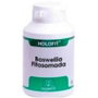 EQUISALUD HOLOFIT BOSWELLIA FITOSOMADA 180 cápsulas