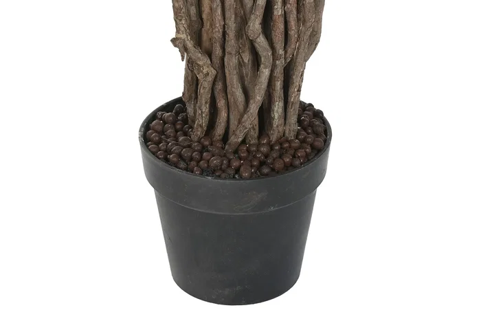 DKD Home Decor Planta Ficus Verde PE 100x100x203 cm DKD Home Decor Planta Ficus Verde PE 100x100x203 cm