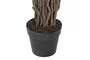 DKD Home Decor Planta Ficus Verde PE 100x100x203 cm