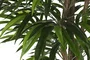 DKD Home Decor Planta Ficus Verde PE 100x100x203 cm
