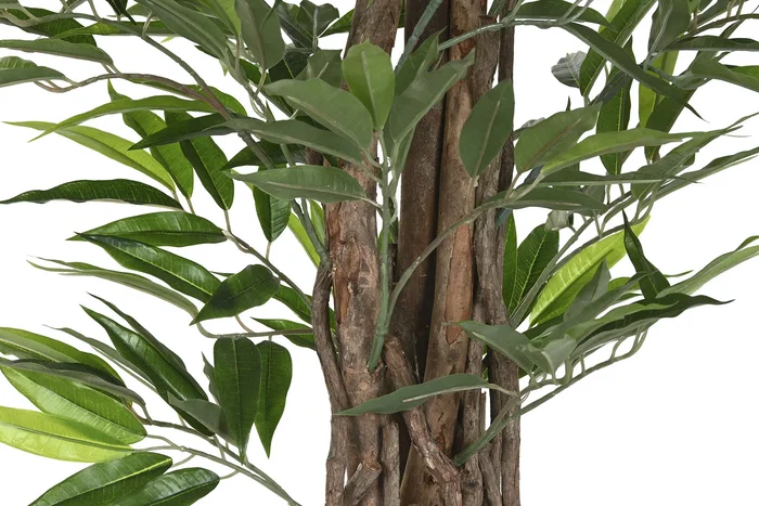 DKD Home Decor Planta Ficus Verde PE 100x100x203 cm DKD Home Decor Planta Ficus Verde PE 100x100x203 cm