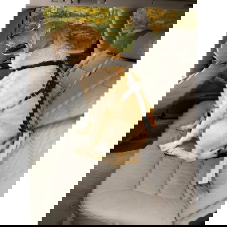 Petsafe Arnés Tru-Fit para Perros, Talla M (11,3-22,6 kg), Crash Tested, Compatible con Cinturón de Seguridad