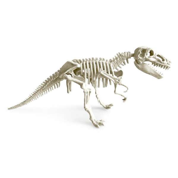 Toy Partner Juego de Realidad Virtual Project Lab Dino Lab