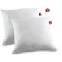 Abeil Set 2 Almohadas Antiacáros 60x60 cm 100% Algodón Orgánico Tratado Biome®