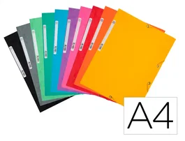 Exacompta Carpeta de cartón con tres solapas y gomas DIN A4 colores surtidos