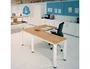 Rocada Executive 160x80 cm Gris/Blanco