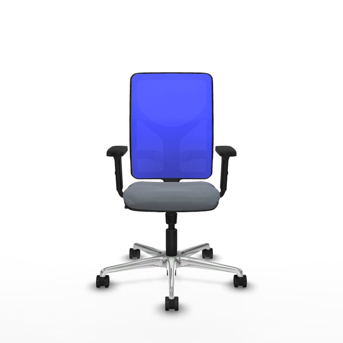 PIQUERAS Y CRESPO Silla de oficina Motilla con mecanismo Sincro, Gris y Azul PIQUERAS Y CRESPO Silla de oficina Motilla con mecanismo Sincro, Gris y Azul