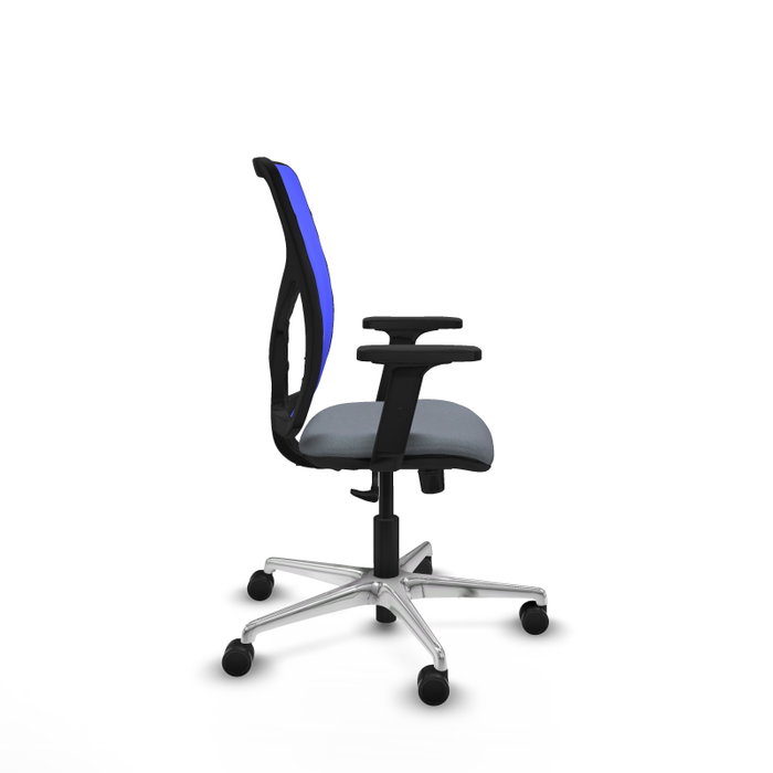 PIQUERAS Y CRESPO Silla de oficina Motilla con mecanismo Sincro, Gris y Azul PIQUERAS Y CRESPO Silla de oficina Motilla con mecanismo Sincro, Gris y Azul