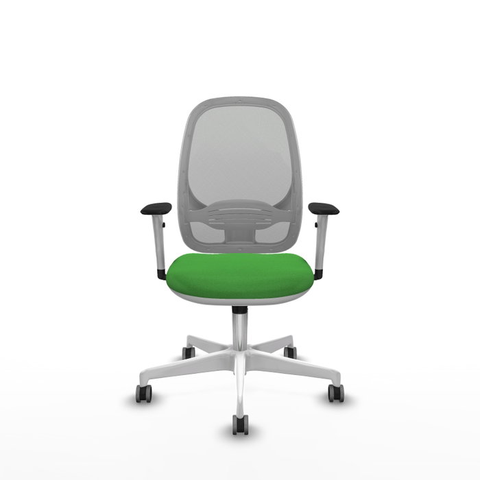 PIQUERAS Y CRESPO Silla de Oficina Cilanco con Mecanismo Sincro Verde/Gris