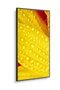 Sharp/NEC MultiSync M551-2 50 pulg. 4K Ultra HD Negro