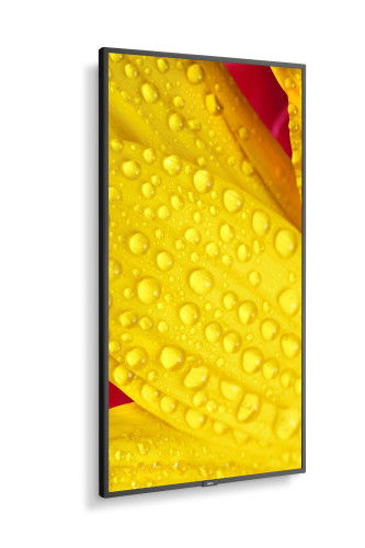 NEC M551-2 Pantalla LED de 50" 4K Ultra HD para quiosco, diseño plano, Procesador incorporado, Negro
