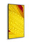 NEC M551-2 Pantalla LED de 50" 4K Ultra HD para quiosco, diseño plano, Procesador incorporado, Negro