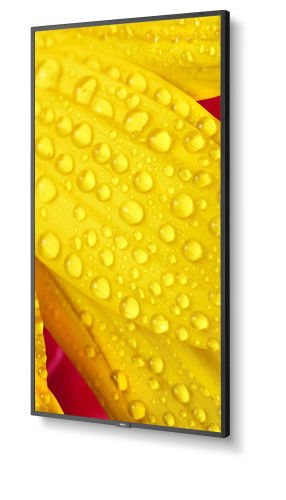 NEC M551-2 Pantalla LED de 50" 4K Ultra HD para quiosco, diseño plano, Procesador incorporado, Negro