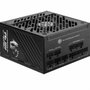MSI MPG A1250GS PCIE5 Fuente de alimentación 1250 W Negro