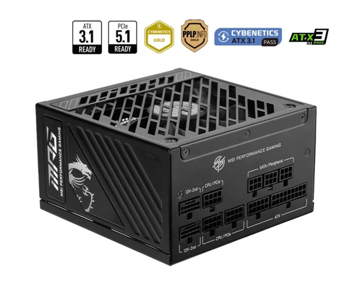 MSI MPG A1250GS PCIE5 1250 W ATX Negro