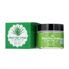 JIGOTT Crema extracto de aloe tarro 100 ml para mujer