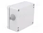 F&F Interruptor de crepúsculo AWZ-30 empotrado IP65
