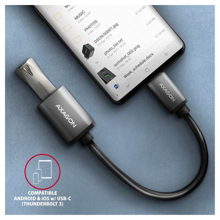 Axagon RUCM-AFAC Adaptador de cable USB-C 3.2 Gen 1 a USB-A, negro - 0,2m
