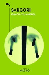 Sargori, Ignacio Villameriel Arizmendi - MILENIO EDITORIAL