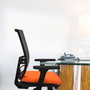 PIQUERAS Y CRESPO Silla de oficina Yunquera Verde botella y Negro