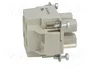 LAPP EPIC POWER H-S Plantilla de contacto hembra HDC