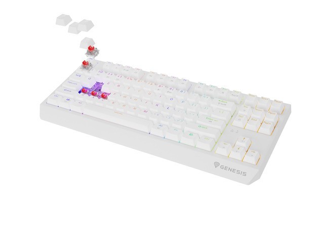 Genesis Thor 230 TKL Wireless Blanco RGB Outemu Teclado Mecánico sin Cables Layout Polaco