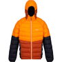 Chaqueta Deportiva para Hombre Regatta Harrock II Naranja Oscuro