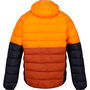 Chaqueta Deportiva para Hombre Regatta Harrock II Naranja Oscuro