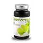 MUNDO NATURAL Ginkgotonic 420mg 60 cápsulas