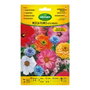 Agreen Sobre de Semillas 300592bolsh - Mezcla de Flores Altas Anuales para Macizos y Flor Cortada de Verano