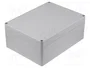 FIBOX EURONORD Carcasa Universal Gris