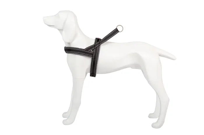 Freedog Arnés Shiva Sport Gris Talla XS 15 mm X 48-56 cm Freedog Arnés Shiva Sport Gris Talla XS 15 mm X 48-56 cm