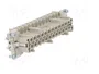 WIELAND Conector HDC Hembra Tamaño 24 para Panel
