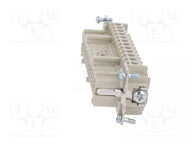 WIELAND Conector HDC Hembra Tamaño 24 para Panel WIELAND Conector HDC Hembra Tamaño 24 para Panel