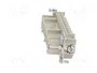 WIELAND Conector HDC Hembra Tamaño 24 para Panel