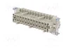 WIELAND Conector HDC Hembra Tamaño 24 para Panel