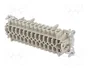 WIELAND Conector HDC Hembra Tamaño 24 para Panel