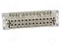 WIELAND Conector HDC Hembra Tamaño 24 para Panel