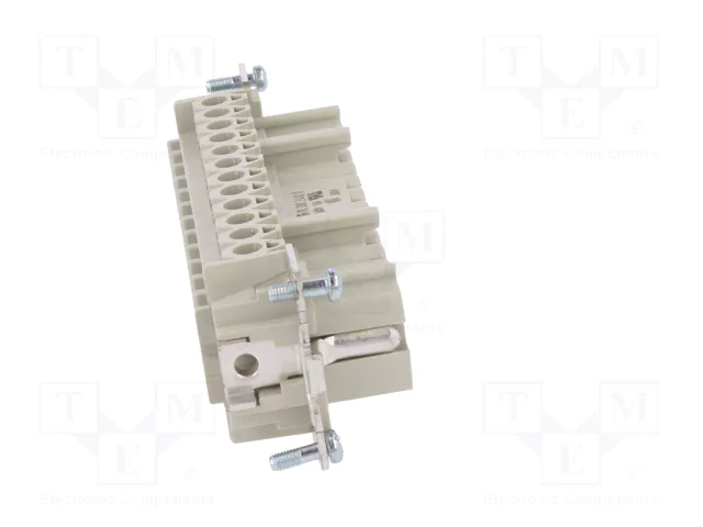 WIELAND Conector HDC Hembra Tamaño 24 para Panel WIELAND Conector HDC Hembra Tamaño 24 para Panel