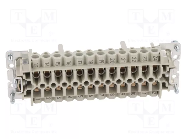 WIELAND Conector HDC Hembra Tamaño 24 para Panel WIELAND Conector HDC Hembra Tamaño 24 para Panel