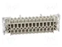 WIELAND Conector HDC Hembra Tamaño 24 para Panel